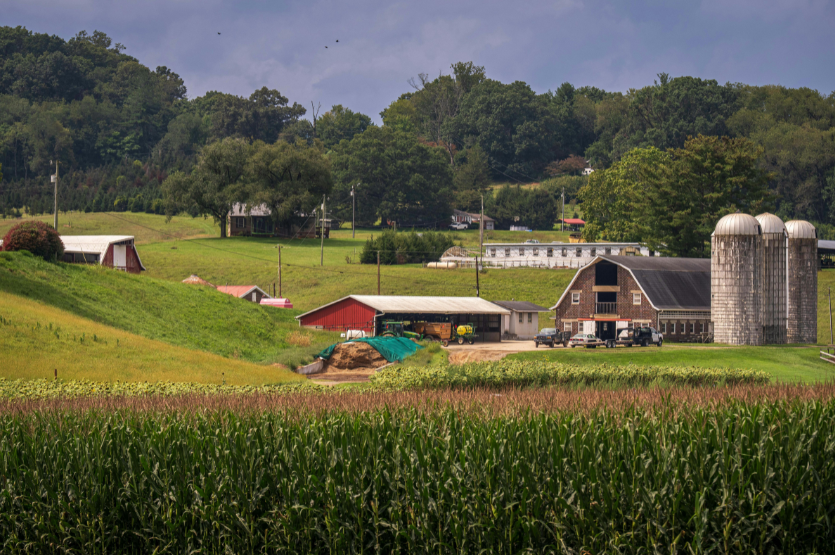 rural insfrastructure